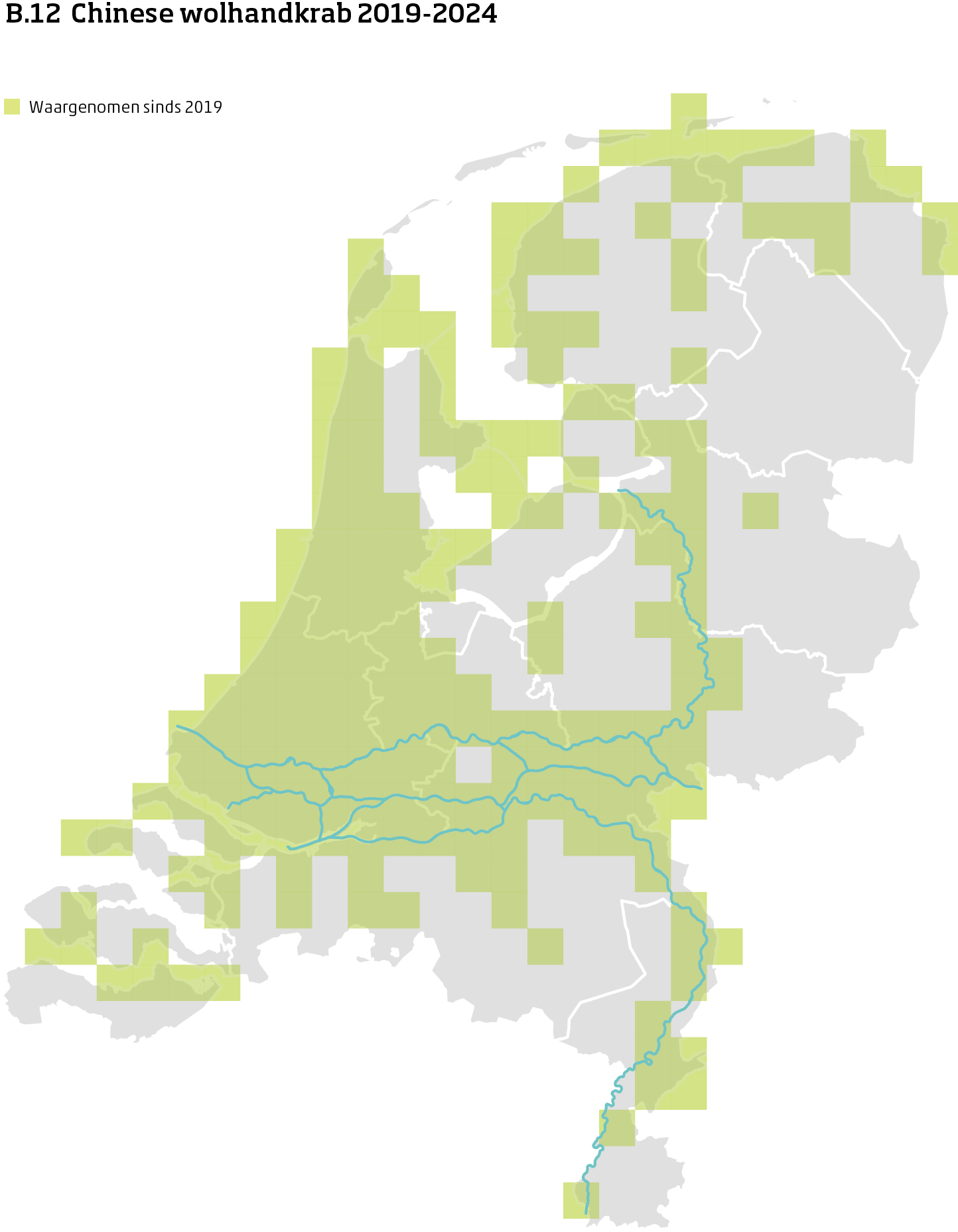 De kaart toont voor Chinese wolhandkrab het actueel leefgebied Nederland. In 10 bij 10 kilometer hokken is aangegeven waar de soort sinds 2019 is waargenomen.