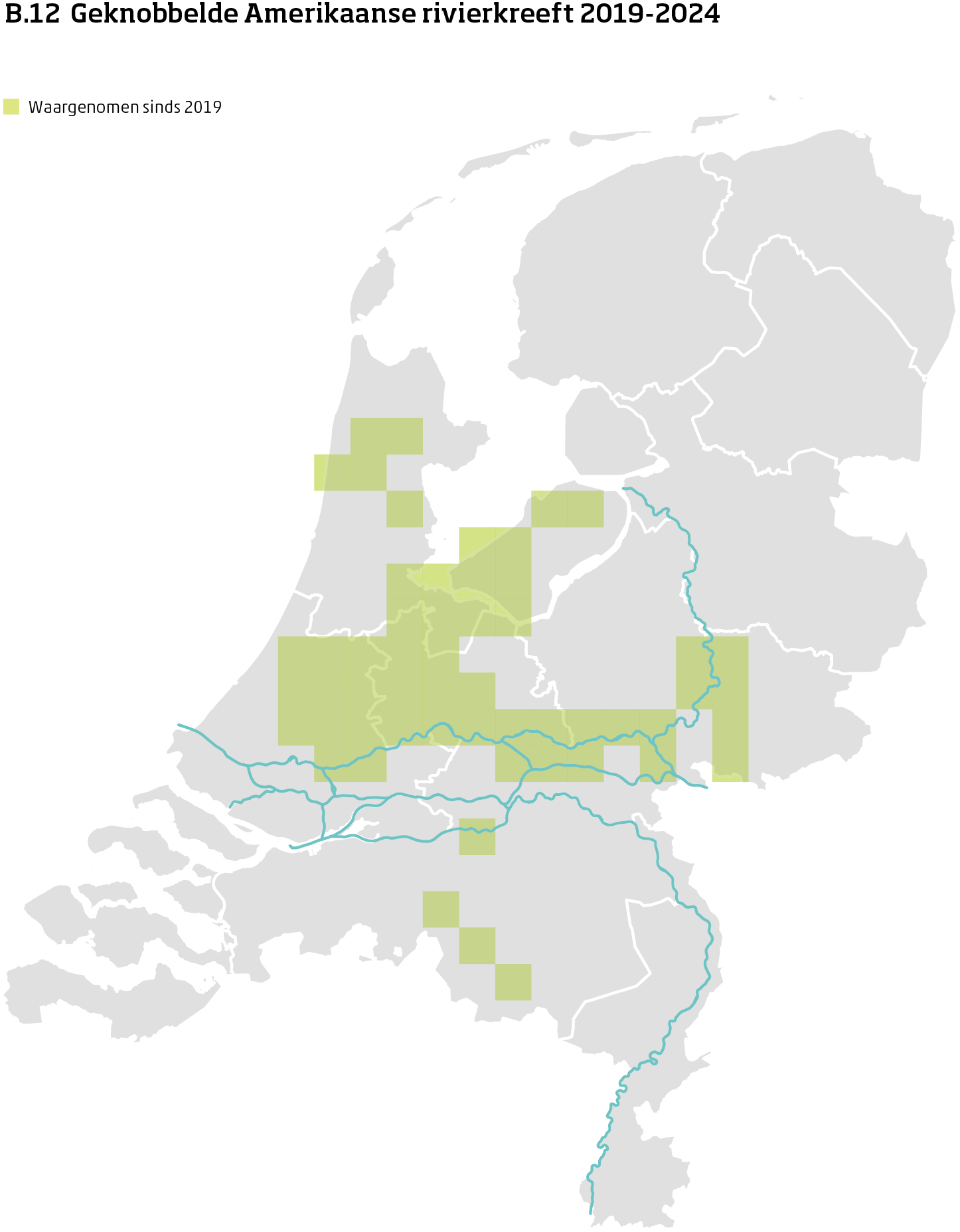 De kaart toont voor geknobbelde Amerikaanse rivierkreeft het actueel leefgebied Nederland. In 10 bij 10 kilometer hokken is aangegeven waar de soort sinds 2019 is waargenomen.
