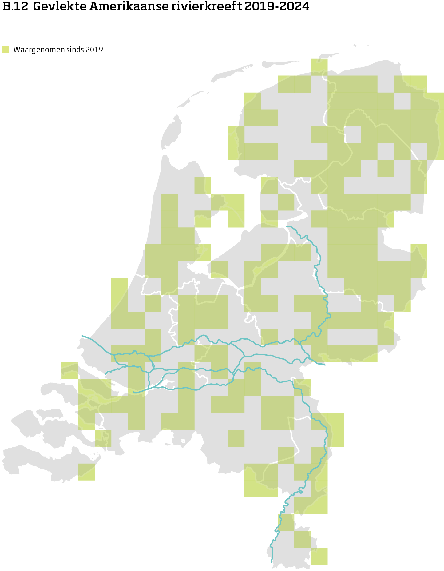 De kaart toont voor gevlekte Amerikaanse rivierkreeft het actueel leefgebied Nederland. In 10 bij 10 kilometer hokken is aangegeven waar de soort sinds 2019 is waargenomen.