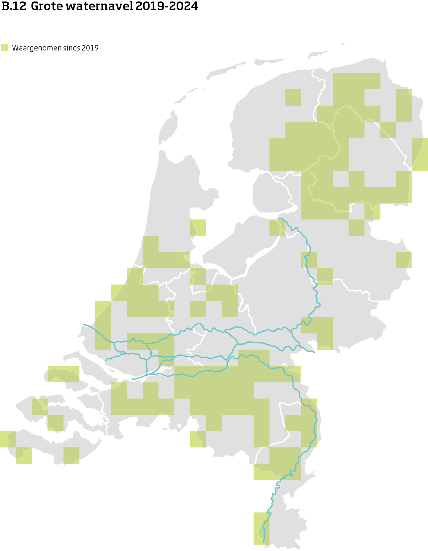 De kaart toont voor grote waternavel het actueel leefgebied Nederland. In 10 bij 10 kilometer hokken is aangegeven waar de soort sinds 2019 is waargenomen.