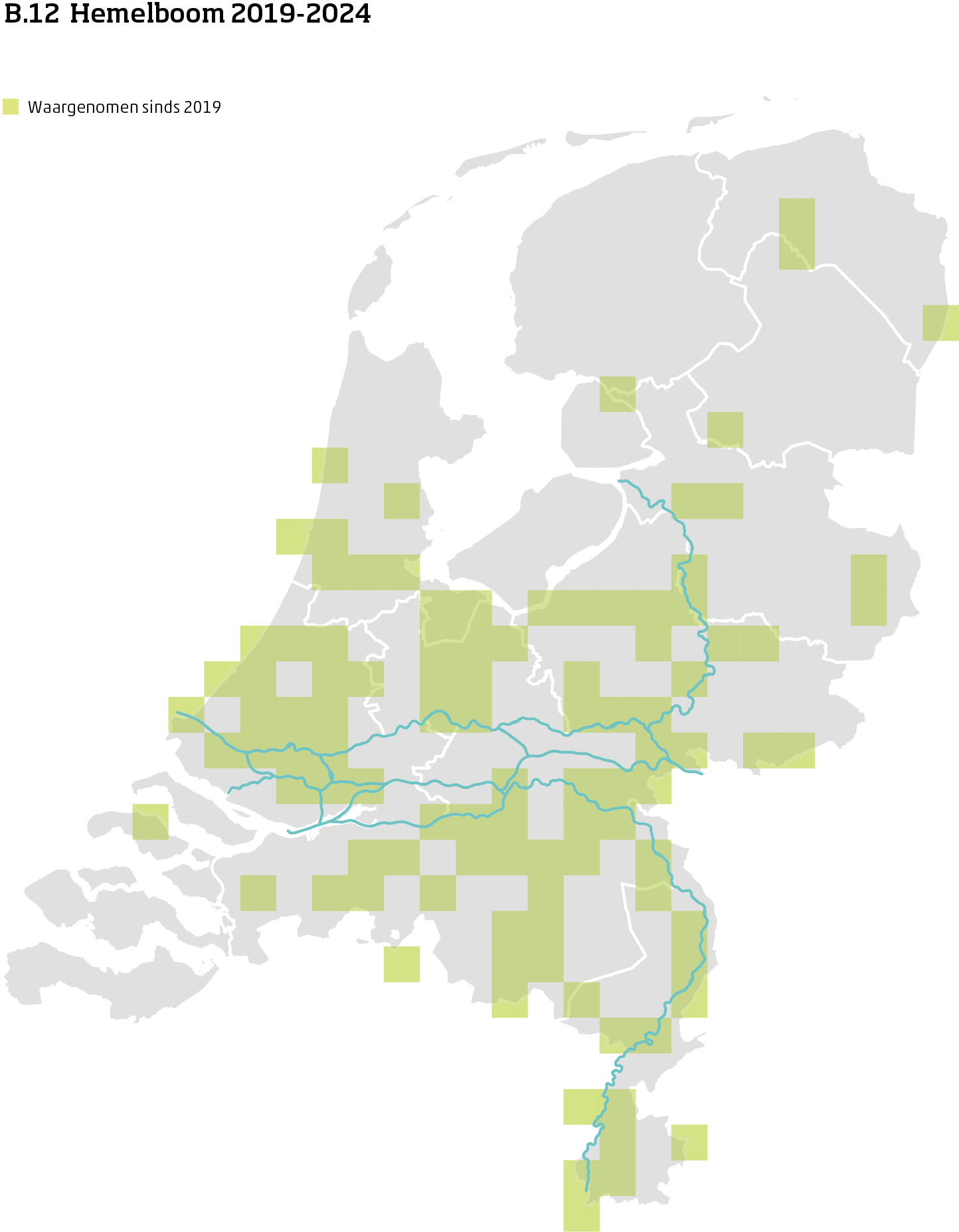 De kaart toont voor hemelboom het actueel leefgebied Nederland. In 10 bij 10 kilometer hokken is aangegeven waar de soort sinds 2019 is waargenomen.