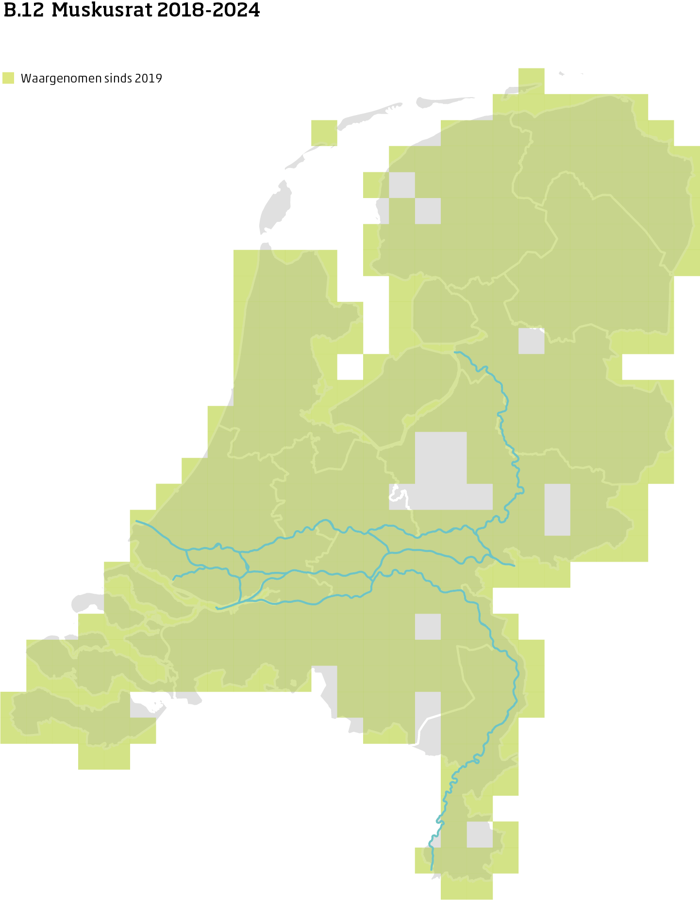 De kaart toont voor muskusrat het actueel leefgebied Nederland. In 10 bij 10 kilometer hokken is aangegeven waar de soort sinds 2019 is waargenomen.
