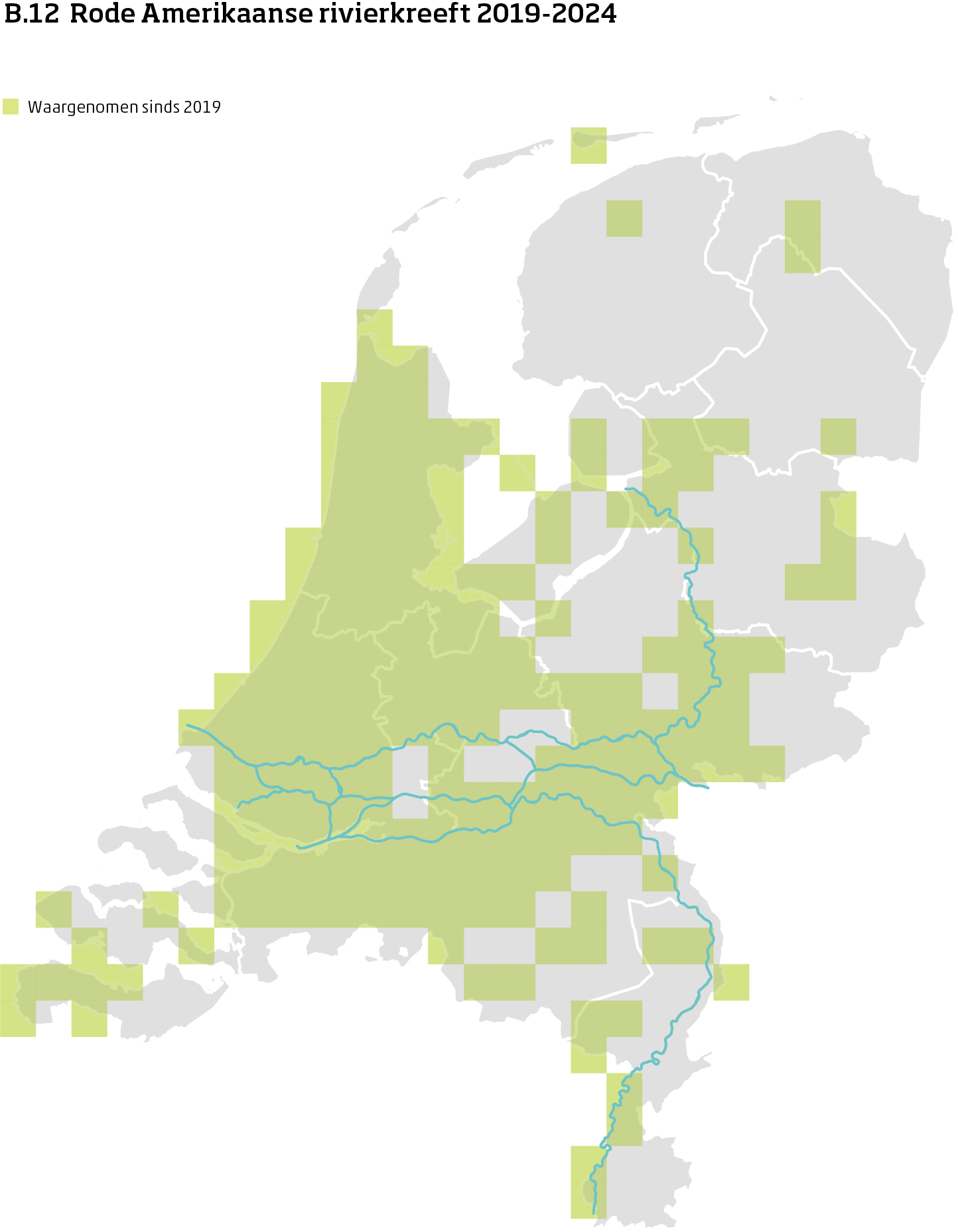 De kaart toont voor rode Amerikaanse rivierkreeft het actueel leefgebied Nederland. In 10 bij 10 kilometer hokken is aangegeven waar de soort sinds 2019 is waargenomen.
