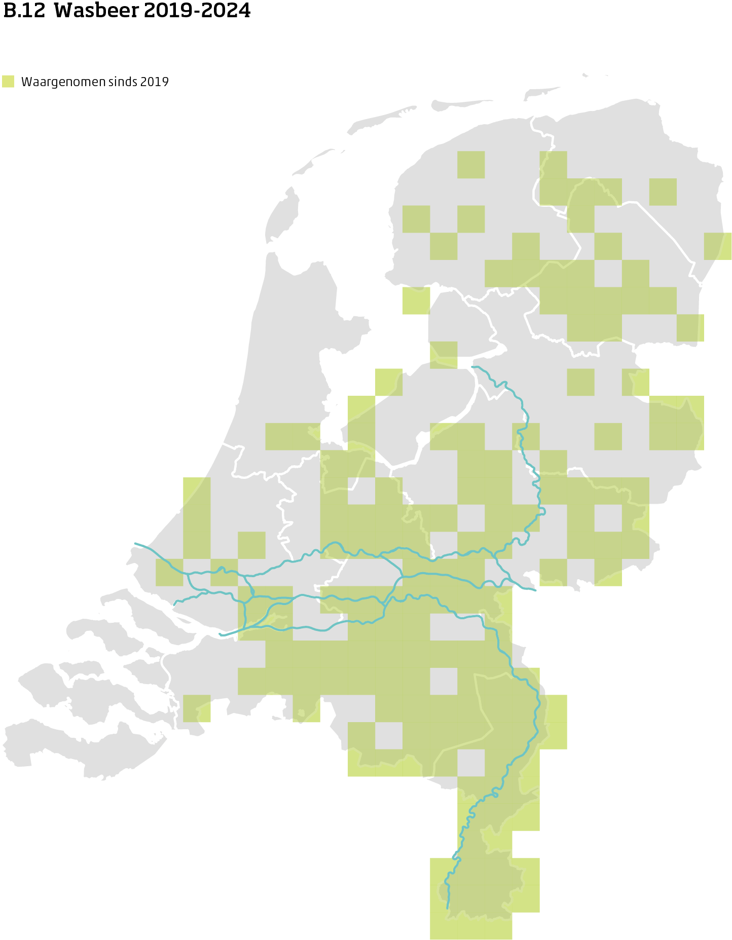 De kaart toont voor wasbeer het actueel leefgebied Nederland. In 10 bij 10 kilometer hokken is aangegeven waar de soort sinds 2019 is waargenomen.