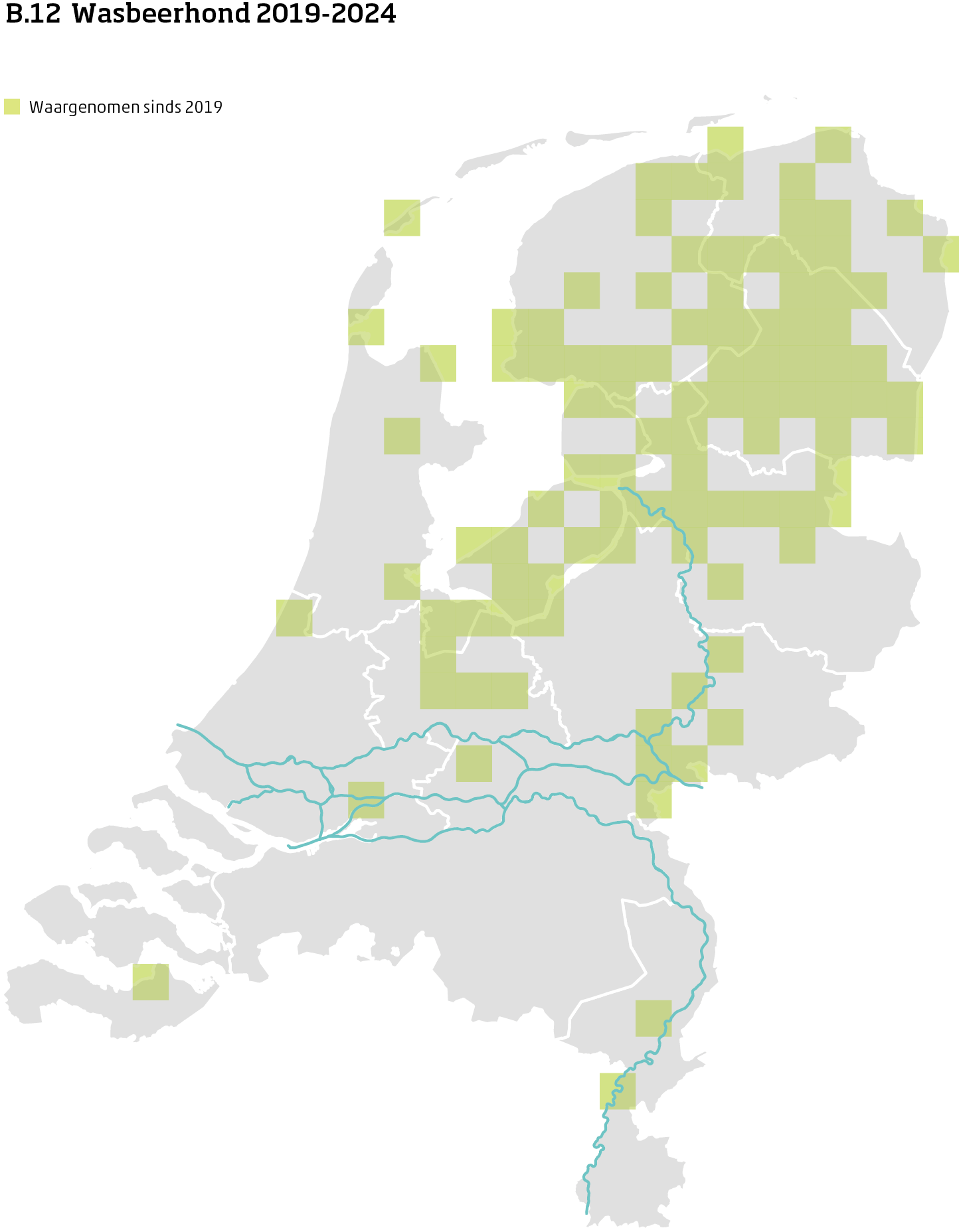 De kaart toont voor wasbeerhond het actueel leefgebied Nederland. In 10 bij 10 kilometer hokken is aangegeven waar de soort sinds 2019 is waargenomen.