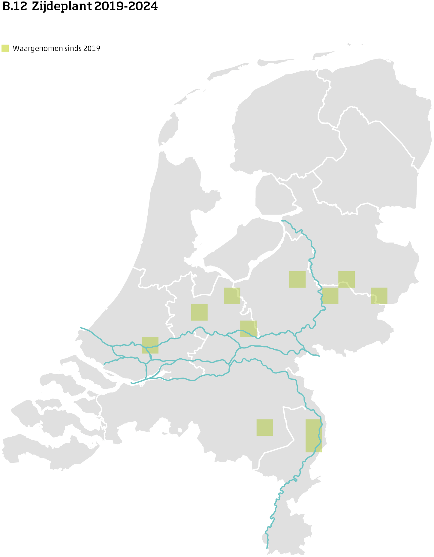 De kaart toont voor zijdeplant het actueel leefgebied Nederland. In 10 bij 10 kilometer hokken is aangegeven waar de soort sinds 2019 is waargenomen.