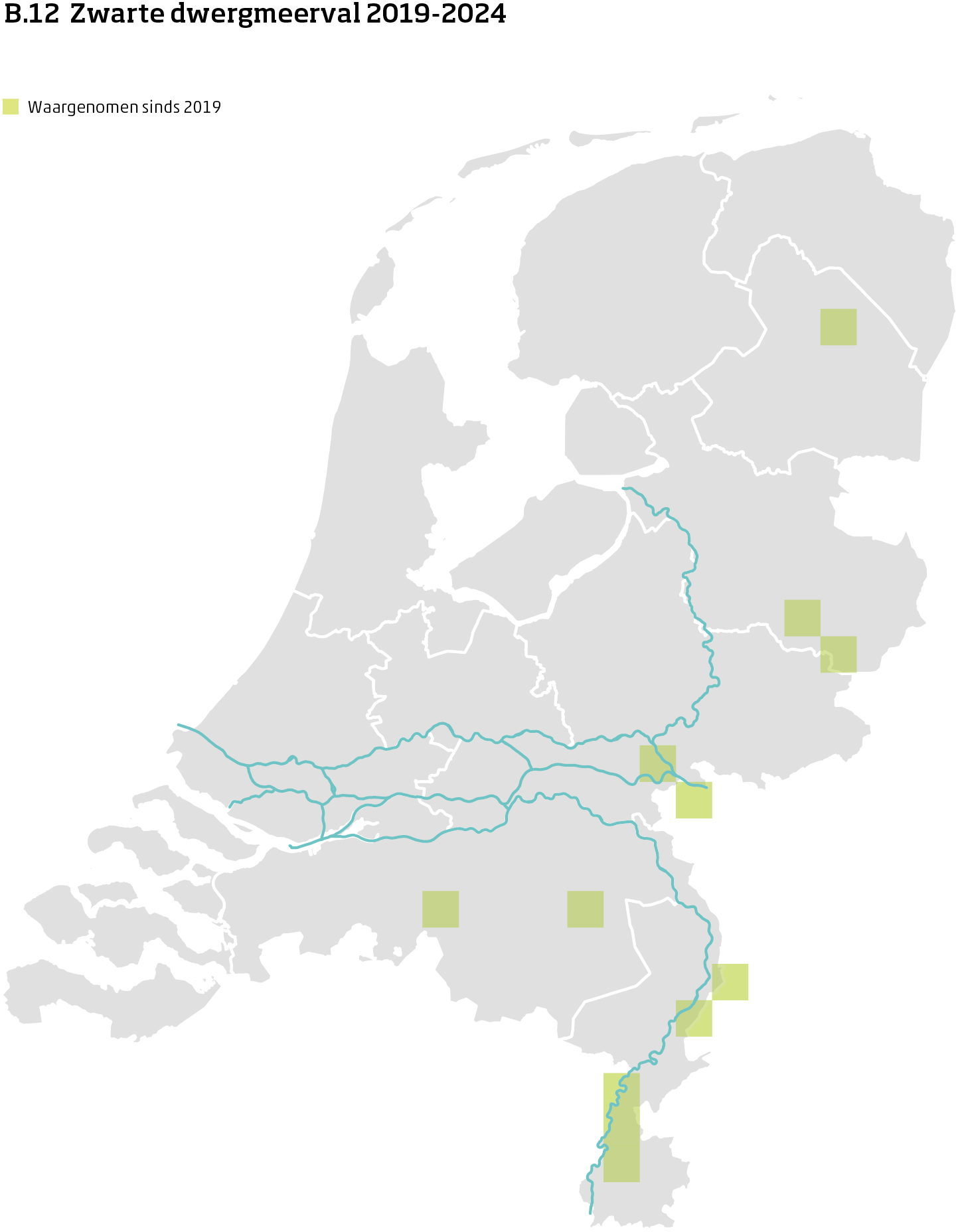 De kaart toont voor zwarte dwergmeerval het actueel leefgebied Nederland. In 10 bij 10 kilometer hokken is aangegeven waar de soort sinds 2019 is waargenomen.