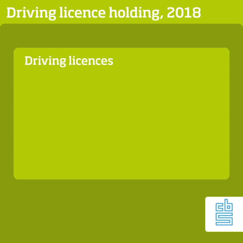 On 1 January 2018, there were over 11 million Dutch holders of a car driving licence (category B or BE), and nearly 11.3 million people with a valid moped licence. Over 1.4 million adults possessed a Dutch motorcycle licence. There were nearly 285 thousand people holding a bus driving licence and 580 thousand holders of a VHG licence respectively.